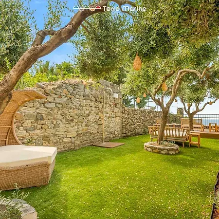 Tre Uliva Corniglia